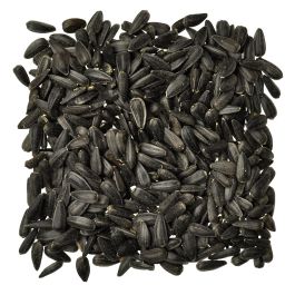 Black Oil Sunflower Seed, 2 Lb. - 50 Lb.