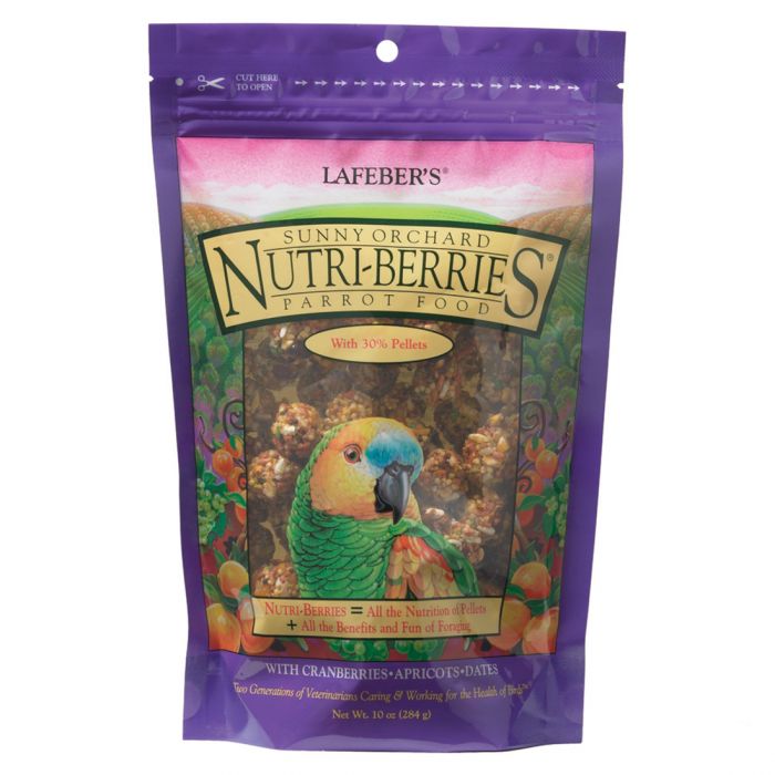 Nutri berries parrot top food